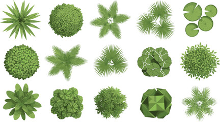 Set of top view landscape plant icons featuring diverse green trees palms and shrubs for architectural site plan design. © MstBobita