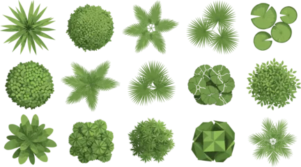 Fotobehang Pistachekleur Set of top view landscape plant icons featuring diverse green trees palms and shrubs for architectural site plan design.  © MstBobita