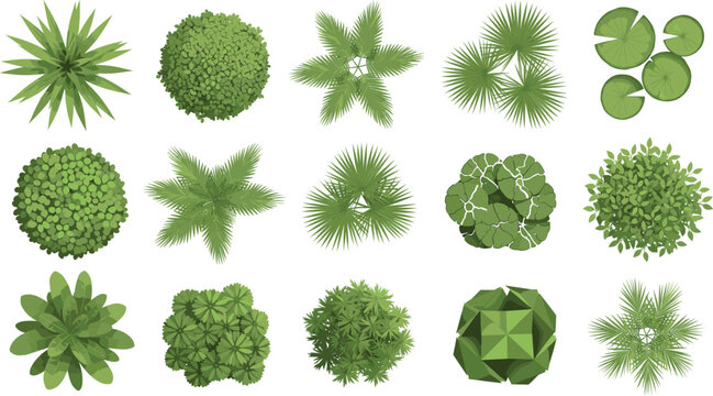 Set of top view landscape plant icons featuring diverse green trees palms and shrubs for architectural site plan design.