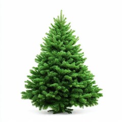 Fototapeta premium Perfect, full, conical green Christmas tree ready for holiday decoration, isolated on a bright white studio background. Ideal for seasonal design and marketing.