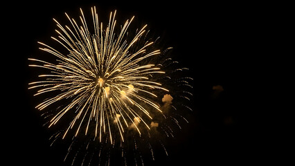 Fototapeta premium Colorful Fireworks Display in the Night Sky