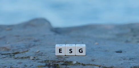 ESG cubes Environment, Social, and Governance on a stone, copy and text space