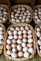 Fresh Brown Farm Eggs in Wicker Baskets on a Bed of Straw