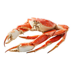 Delicious dungeness crab ready to eat, perfect for seafood restaurants, menus, or cooking blogs, a mouthwatering delicacy, the taste of the ocean