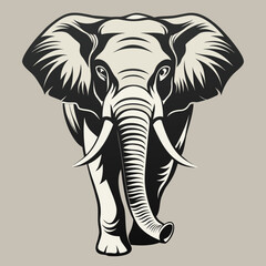 elephant vector illustration