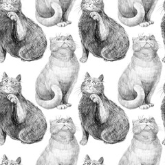 Seamless pencil sketch pattern featuring fluffy cats in different sitting poses. Hand-drawn in black and white on a white background. Ideal for wrapping paper, fabric, and pet-themed design.