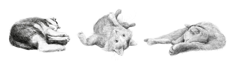 Set of three hand-drawn cats in lying and relaxed poses. Pencil sketch illustration on white background. Suitable for coloring books, pet designs, prints, and educational materials.