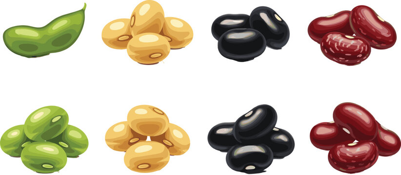 Organic legume vector set featuring green edamame soybeans black beans and red kidney beans isolated on white background.