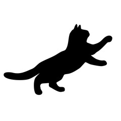 silhouette of a black cat