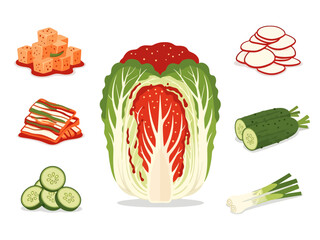 Napa Cabbage and Fermented Food Ingredients Collection