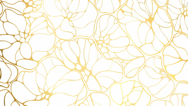 Elegant golden lines form an abstract flowing pattern on a white background