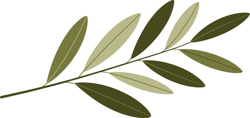 Obraz premium Olive branch logo element with green leaves on transparent background for organic design