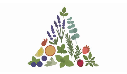 Essential oil plants herbs fruits and berries aroma set modern vector illustration © Hosneara