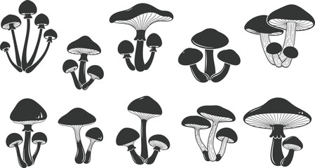 Minimalist Mushroom Silhouettes | Black & White Fungi Vector