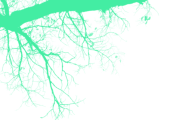 Bright Teal Vertical Split Background image aqua