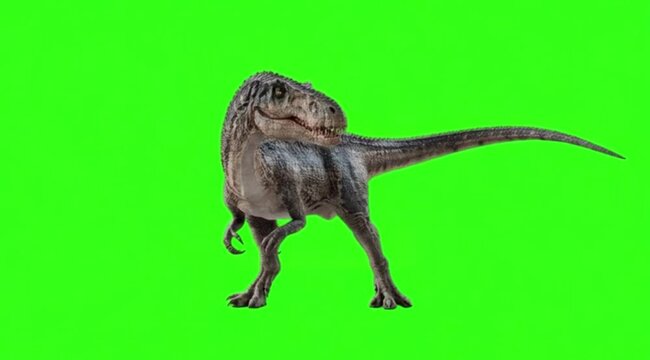 Dinosaur In a natural movement on green screen background.