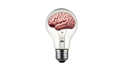 Light bulb with a human brain inside, symbolizing idea, innovation, intelligence, thinking, and creativity isolated on transparent background
