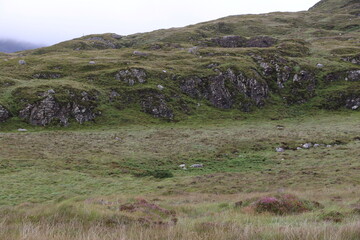 Beaut&eacute; brute de la flore sauvage et des montagnes du Parc National du Connemara
