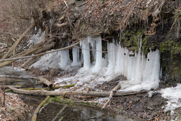 ice formations from water seeping out the side of a hill in winter