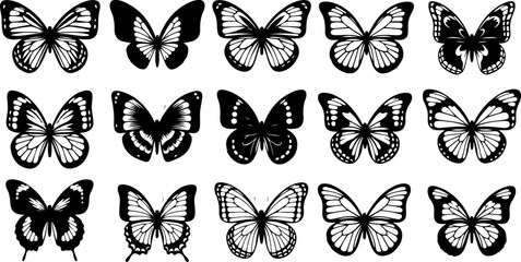 Monochrome Butterfly Species Collection
