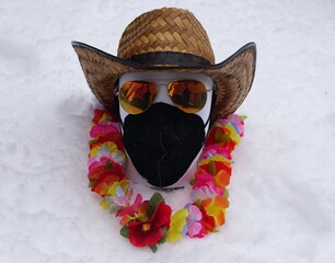 A tropical-themed mannequin head in snowy setting, blending summer vacation vibes with winter chill for humorous visual contrast.
