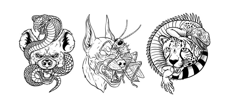 Set of blackwork tattoo flash illustrations featuring aggressive animal heads with reptiles, bold line art style, ideal for tattoo designs and prints