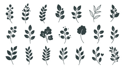 Set of diverse black leaf and branch silhouettes, perfect for nature inspired logos, patterns, and botanical graphic designs.