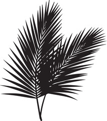 Obraz premium Black and white palm frond