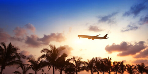 travel destination, flight ticket, silhouette of airplane in the sky with palm trees, vacation travel