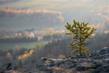 Sunny landscape of the Table Mountains with a view of vast meadows, forests and distant mountain ranges. Calm nature, clear sky and open space invite reflection, mindfulness and deep relaxation.