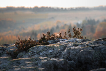 Sunny landscape of the Table Mountains with a view of vast meadows, forests and distant mountain ranges. Calm nature, clear sky and open space invite reflection, mindfulness and deep relaxation.