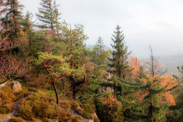 Sunny landscape of the Table Mountains with a view of vast meadows, forests and distant mountain ranges. Calm nature, clear sky and open space invite reflection, mindfulness and deep relaxation.