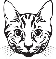 Obraz premium cat face