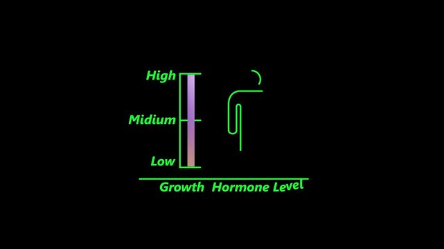 Hormonal health good level on high measure scale. Instrument scale with silhouette of man icon animation on black background.