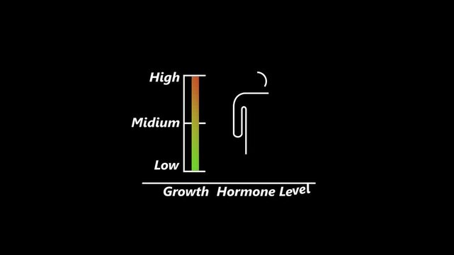 Instrument scale with silhouette of man icon animation on black background. Growth Hormone Level Chart With Male Figure graph. 4k video