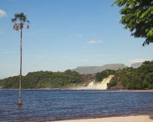 Canaima Lagoon with Waterfall and Lone Palm Tree, Venezuela