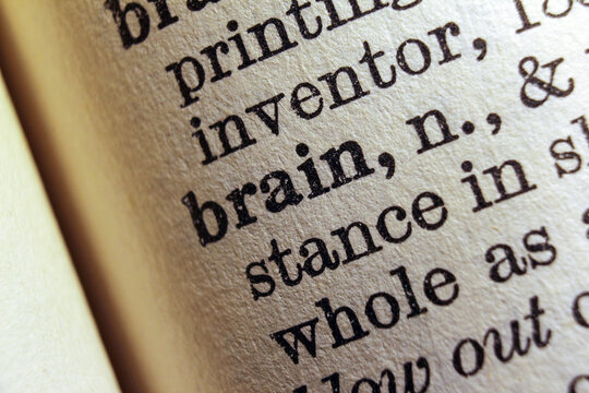 Word brain printed on dictionary page