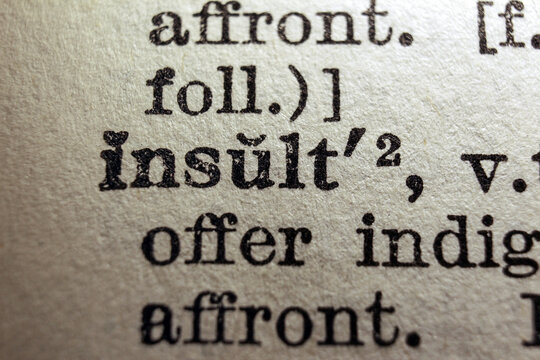 Word insult printed on a dictionary page, macro closeup