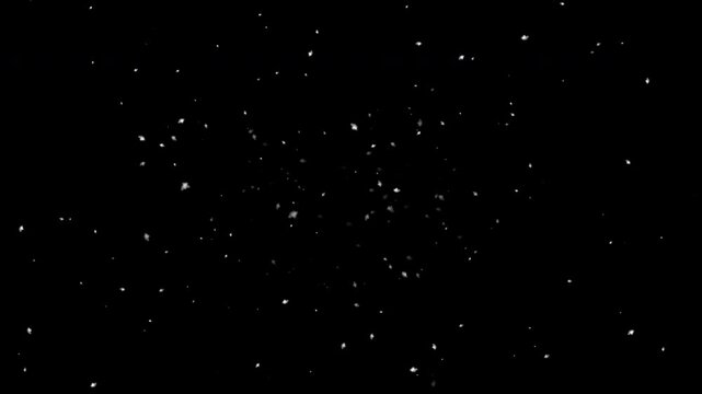 Heavy Snowfall Flying Toward the Viewer
