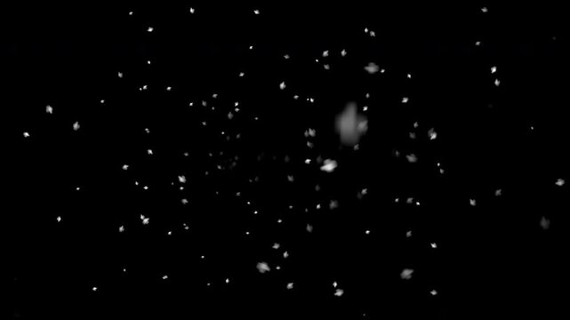 Snow Blowing Into the Camera, Winter Blizzard POV
