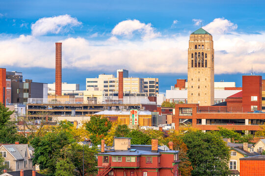 Ann Arbor, Michigan, USA Town Skyline 3013