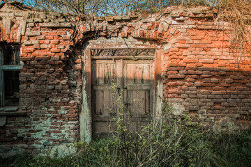 Old abandoned rural buildings. Decaying wooden door set in a cracked brick wall overgrown with plants. A symbol of passing time, neglect and forgotten places