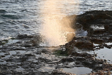 Sea geyser erupting from rocks under wave pressure

