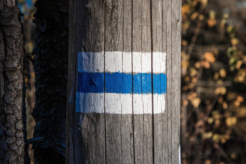 Blue hiking trail mark painted on a tree trunk in a forest. A symbol of direction, journey and hiking in a natural environment.