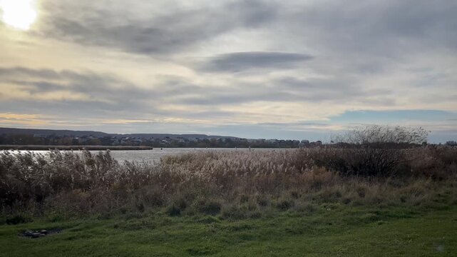 A fierce autumn wind breaks the reeds on a rural lake.