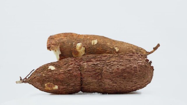 Freshly Harvested Cassava Root Rotating on White Background