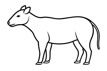Fototapeta premium Geliceuill animal line art white background illustration