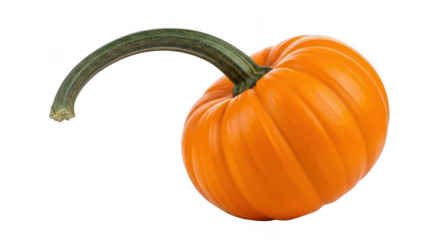 Small orange pumpkin with green stem isolated on transparent background for fall season