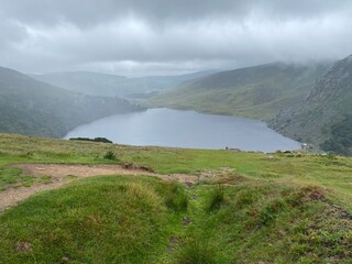 Paysage sauvage du plateau de Calary dans les montagnes du Wicklow, Irlande