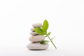 A relaxing and peaceful composition featuring stacked stones with a fresh sprout, set against a clean white background. Perfect for wellness concepts.
